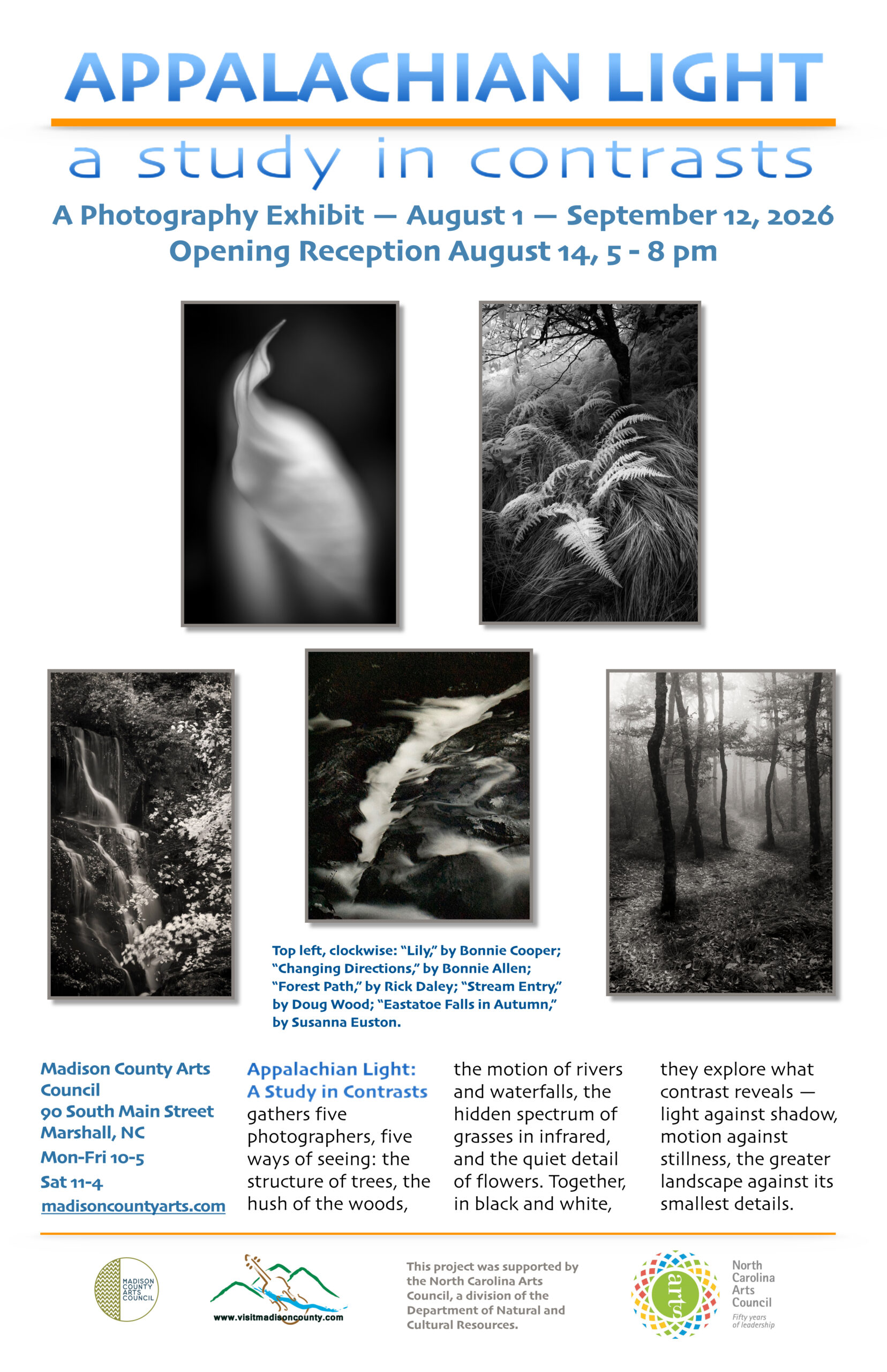 Appalachian Light, A Study in Contrast